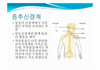 뇌, 신경계 및 관련 질병-8