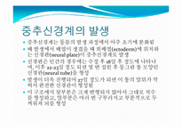뇌, 신경계 및 관련 질병-9