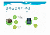 뇌, 신경계 및 관련 질병-10