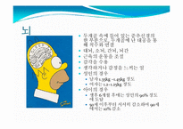 뇌, 신경계 및 관련 질병-11