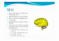 뇌, 신경계 및 관련 질병-12