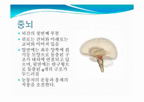 뇌, 신경계 및 관련 질병-14