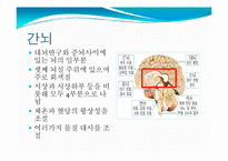 뇌, 신경계 및 관련 질병-15