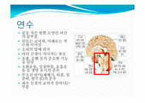 뇌, 신경계 및 관련 질병-16