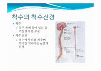뇌, 신경계 및 관련 질병-17