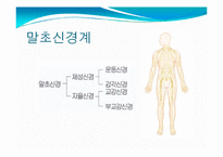 뇌, 신경계 및 관련 질병-18