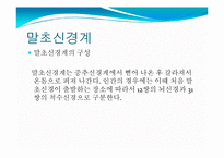뇌, 신경계 및 관련 질병-20