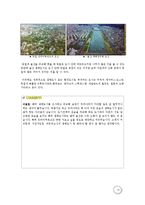 [환경생태학] 울산 생태도시의 문제점과 해결방안-태화강을 중심으로-15