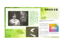 [환경생태학] 울산 생태도시의 문제점과 해결방안-태화강을 중심으로-12