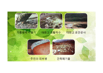 [환경생태학] 울산 생태도시의 문제점과 해결방안-태화강을 중심으로-13