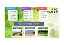[환경생태학] 울산 생태도시의 문제점과 해결방안-태화강을 중심으로-15