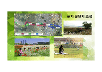 [환경생태학] 울산 생태도시의 문제점과 해결방안-태화강을 중심으로-19