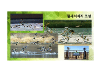 [환경생태학] 울산 생태도시의 문제점과 해결방안-태화강을 중심으로-20