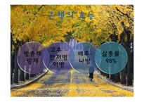 [식물학] 병충해 저항성 벼 개발-5