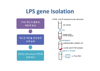 [식물학] 병충해 저항성 벼 개발-14
