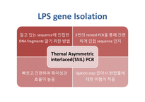 [식물학] 병충해 저항성 벼 개발-15