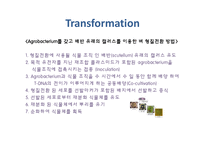[식물학] 병충해 저항성 벼 개발-20