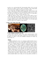 [환경과 사회] 공장식 사육의 비윤리적 실태와 개선방안-7