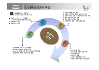 [도시행정론] 수원시의 행정 운영 조사-3