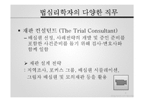 [범죄심리학] 윤리 및 전문가 문제-3