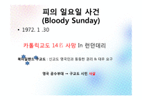 영국과 아일랜드의 종교 분쟁-15