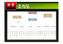 [정책학] 중앙인사기관의 특징 및 문제점과 개선방안-13