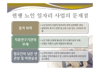 [사회복지] 노인 일자리 사업 문제점과 개선방안-19