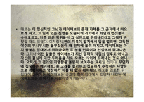 [철학] 허먼 멜빌의 `모비 딕(Moby Dick)`과 포스트 모더니즘-20