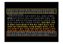 SSM 찬반 논란 레포트-15