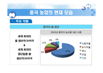 [중국경제론] 중국의 농업발전과 세계화-4