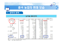 [중국경제론] 중국의 농업발전과 세계화-5