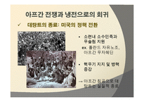 [세계정치] 데탕트 체계의 붕괴-11