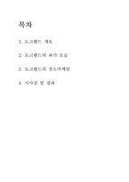 [관광학] 영국 도크랜드 장소마케팅-2