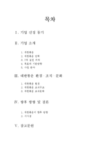 [조직론] 대한통운 조직구조와 향후 방향-2