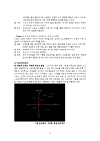 [무역학] 나이키 운동화 무역현황-14