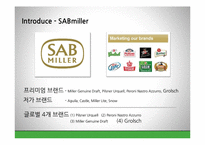 [국제경영] 네덜란드 맥주 `그롤쉬 Grolsch` 중국시장 진출 전략-4