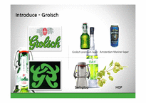 [국제경영] 네덜란드 맥주 `그롤쉬 Grolsch` 중국시장 진출 전략-5