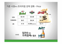 [국제경영] 네덜란드 맥주 `그롤쉬 Grolsch` 중국시장 진출 전략-10