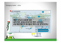 [국제경영] 네덜란드 맥주 `그롤쉬 Grolsch` 중국시장 진출 전략-20