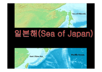 [국제분쟁] 일본과의 영토분쟁-독도분쟁 문제와 해결방안-15
