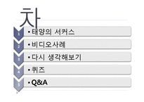 [경영학] 태양의 서커스단 차별화 전략 탐구-2