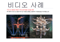 [경영학] 태양의 서커스단 차별화 전략 탐구-12