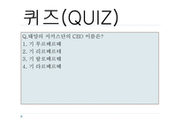 [경영학] 태양의 서커스단 차별화 전략 탐구-20