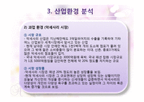 DIY 맞춤형 쥬얼리 온라인 사업 계획서-8