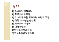 [소비자학] 우리나라의 소비자운동의 문제점과 해결방안-10