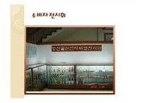 [소비자학] 우리나라의 소비자운동의 문제점과 해결방안-18