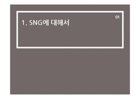 소셜네트워크게임(SNG) 시장 전망과 신제품 마케팅 실습-3