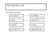 소셜네트워크게임(SNG) 시장 전망과 신제품 마케팅 실습-9