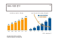 소셜네트워크게임(SNG) 시장 전망과 신제품 마케팅 실습-13