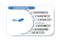 [경영학] 삼성카드 제품과 서비스 분석-2